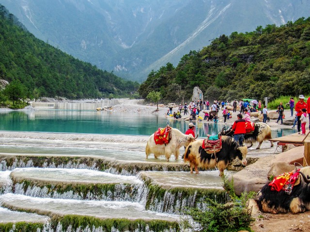 到云南旅游几天？7天6夜，一场说走就走的梦幻之旅，带你领略彩云之南的魅力！