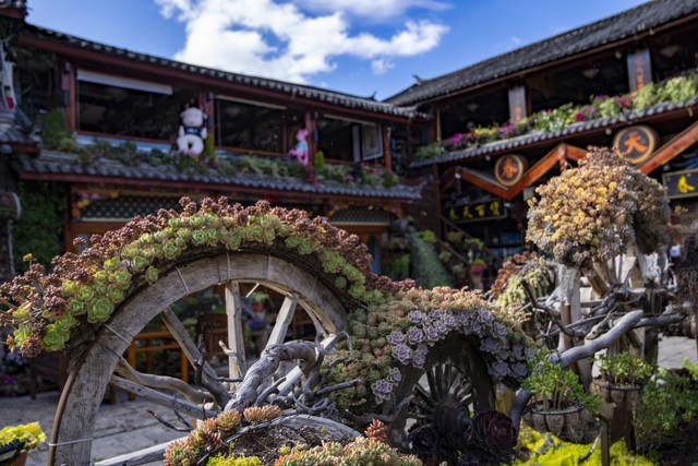 丽江古城景区旅游攻略：从四方街到玉龙雪山，感受丽江的灵魂之旅