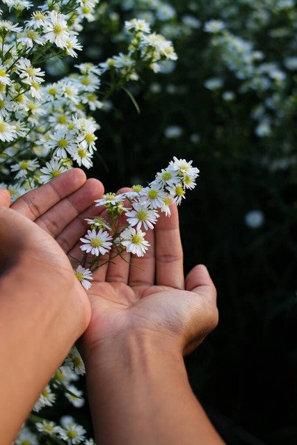 4月为什么季节——春意盎然，花开遍地，一场说走就走的旅行