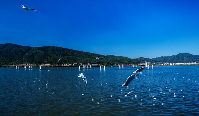 昆明周边旅游团报价全揭秘：从500元到3000元，如何挑选最适合你的旅行套餐？