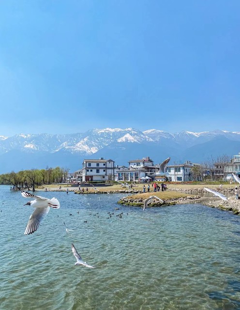 三月份大理旅游穿衣指数：如何在春日暖阳与早晚寒意之间找到完美平衡，让每一次出行都成为时尚与舒适的双重享受？