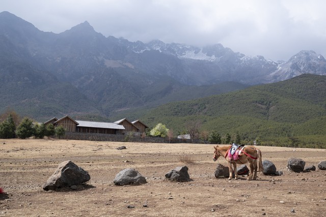 丽江东巴谷旅游汽车营地：雪山下的户外乐园，让心与自然共鸣