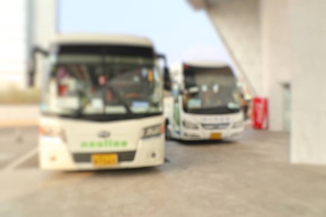 全新的厦门到云南旅游：一场跨越千里的浪漫之旅，从海滨城市到彩云之南的心灵探险