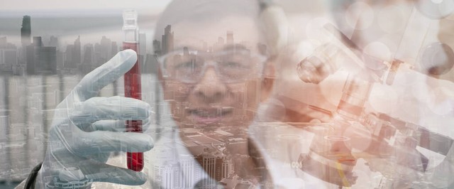 当菲律宾海关按下暂停键：探索背后的故事与影响，从港口到街头巷尾的连锁反应