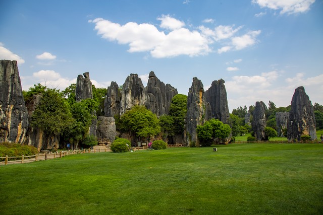 昆明旅游合伙人戴：用生态智慧点亮城市绿洲，让旅行更有意义
