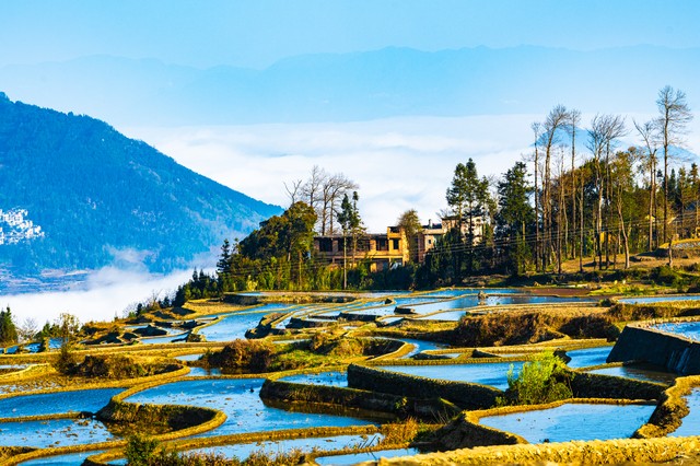 去云南旅游报什么团好？2024年最新攻略，带你轻松玩转彩云之南，享受无忧无虑的旅行体验，发现那些你从未见过的美景与人文故事