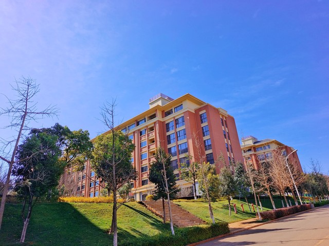 云南民族大学呈贡酒店：从校园到世界的桥梁，一场关于梦想与现实交织的故事