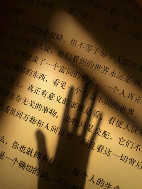 当你问起杭州银泰在哪个区，我脑海里立刻浮现出一幅画面：阳光洒在湖滨路上，行人匆匆而过，远处的西湖波光粼粼，仿佛在诉说着这座城市的繁华与宁静。就在这个充满活力的地方，有一座名为“杭州湖滨银泰in77”的购物中心，它不仅是一个购物天堂，更是杭州人心中的骄傲。今天，就让我们一起走进这片充满故事的土地，看看这里的每一个角落都藏着怎样的惊喜。
