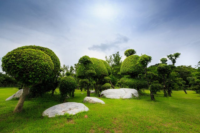 生物景观有哪些：从神秘的森林深处到广袤无垠的大草原，探索地球上最令人惊叹的生命奇迹