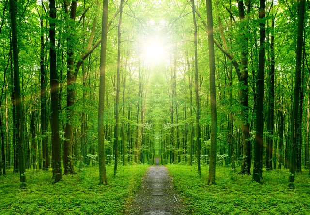 去香格里拉旅游景点，一场心灵与自然的对话，你准备好了吗？