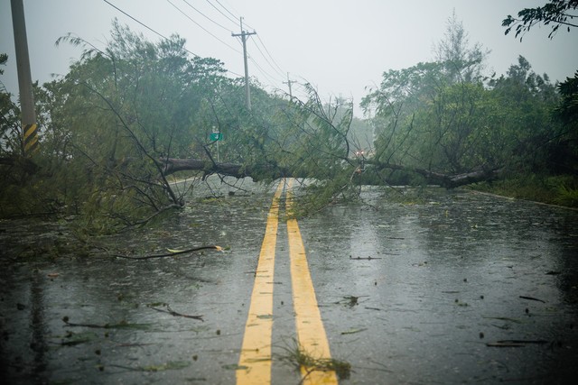 如何看台风路径？掌握这招，轻松应对风雨变幻，让你成为邻里中的天气达人！