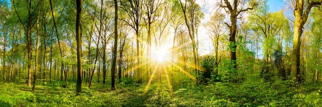 武汉飞云南旅游攻略：一场说走就走的冒险，带你领略彩云之南的魅力，探索未知的美景与美食，感受大自然的鬼斧神工和人文历史的深厚底蕴