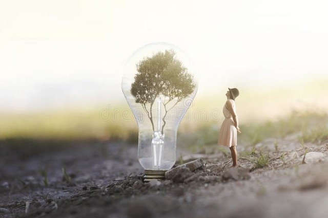 是戳中了无数人内心深处的那根弦：当平凡遇见不凡，生活中的小确幸与大感动