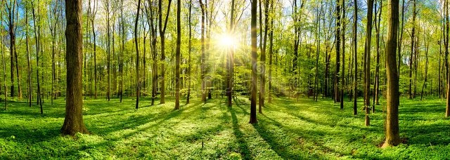 雅安到大理多少公里路，一场说走就走的自驾之旅，带你领略沿途绝美风光！