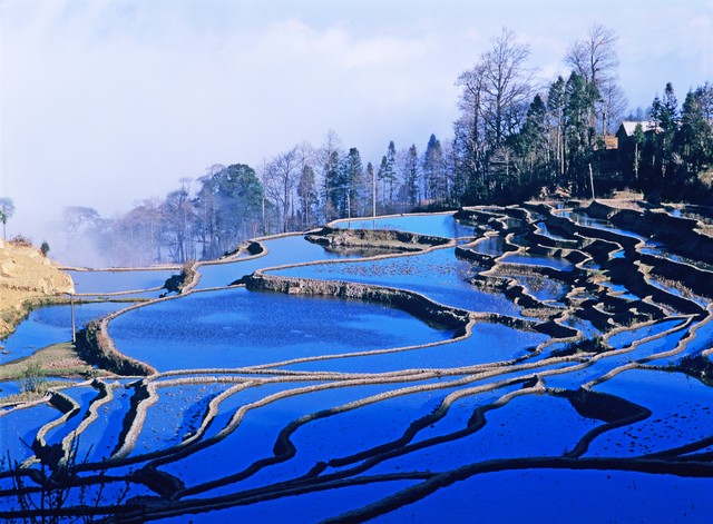 冬季到云南腾冲旅游，一场温暖身心的地热之旅：泡温泉、赏银杏、游火山，体验不一样的冬日风情