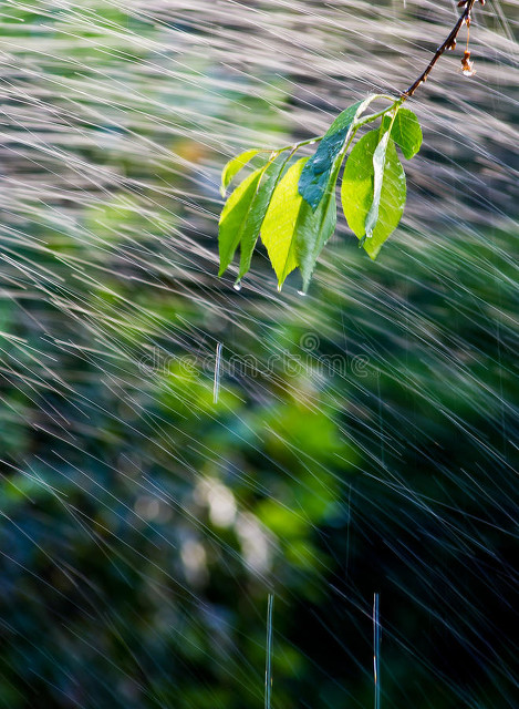 大理过年下雨：当冬日暖阳遇见连绵细雨，一场别样的春节庆典在大理悄然展开