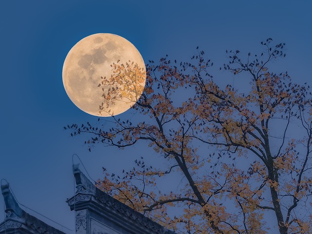 什么昼夜平分：当太阳与地球玩起了最公平的游戏，你准备好了吗？