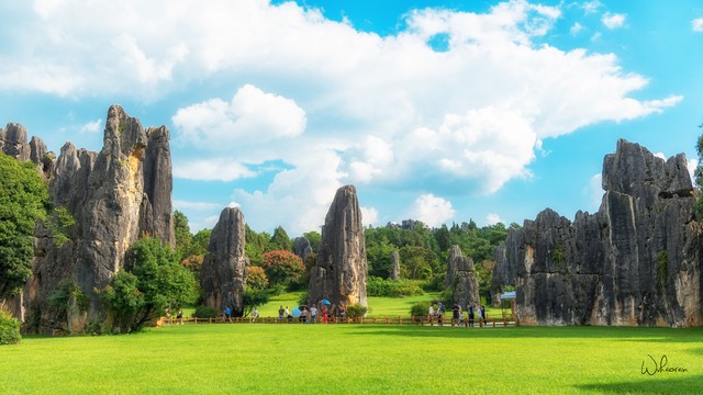 昆明四海旅游汽车公司：从困境到辉煌，云南旅游界的一颗璀璨明珠