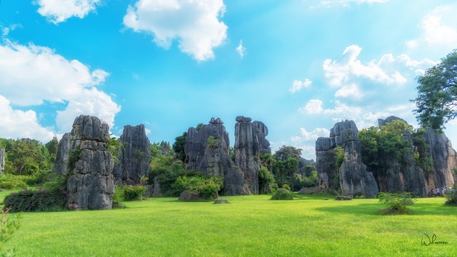 昆明畅旅旅游：从银杏地铁专列到花海音乐会，一场不容错过的浪漫之旅