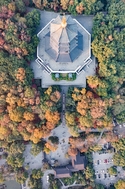 灵谷寺怎么去？2024年最新攻略带你轻松抵达这座历史悠久的佛教圣地，南京最不可错过的旅行目的地！