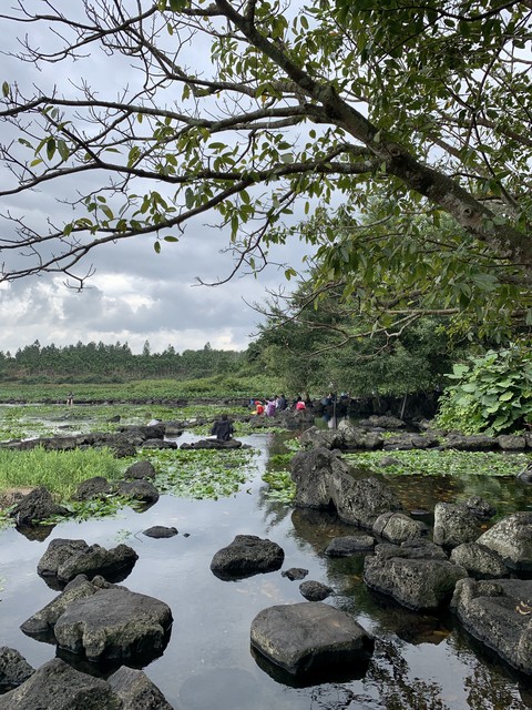 定安有哪些旅游景点？带你畅游定安，感受这座古老县城的独特魅力