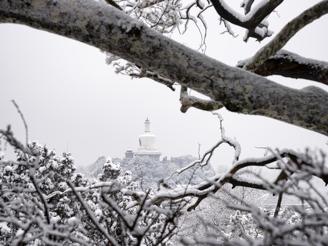 哪些地方下雪了？2024年北京初雪来袭，全国多地迎来寒潮，这场雪你准备好迎接了吗？