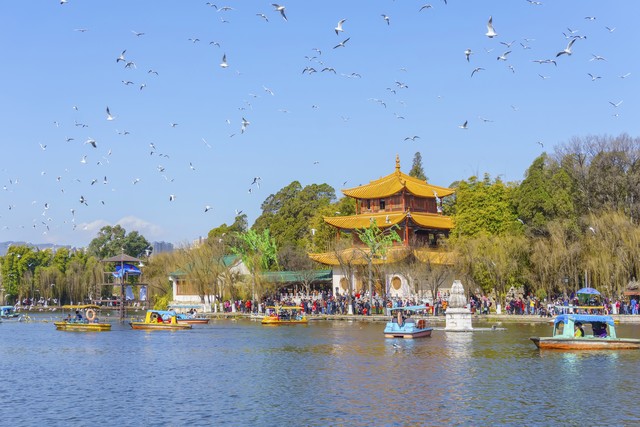 昆明旅游只有3天，怎么玩才能不留遗憾？超实用攻略，带你玩转春城！