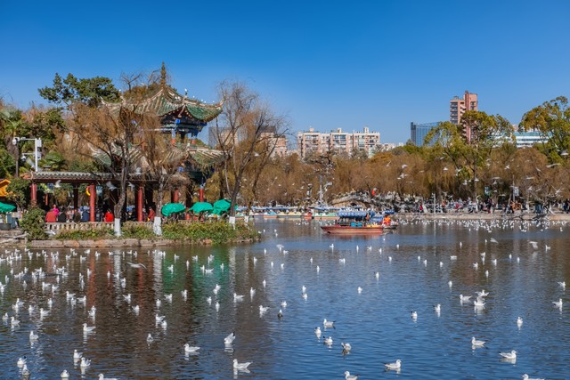 昆明旅游团哪个好6：2024年最新揭秘，带你找到最值得信赖的昆明旅行伙伴！