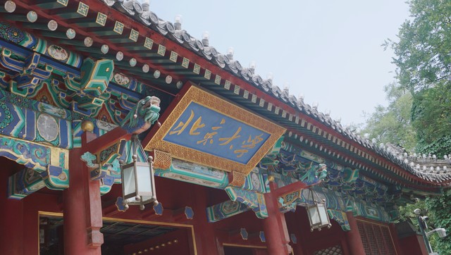 北京大学怎么进去？揭秘中国顶尖学府的参观预约攻略，带你轻松走进百年名校！