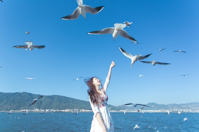 春节昆明旅游计划：阳光下的春城之旅，让心灵与美景来一场浪漫邂逅