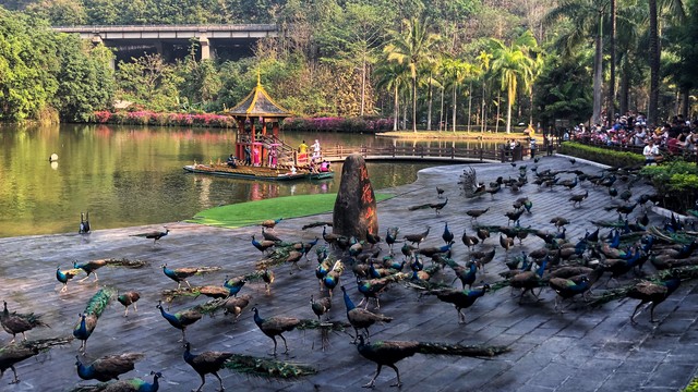 版纳旅游带什么礼物好，让这份心意温暖你我心扉