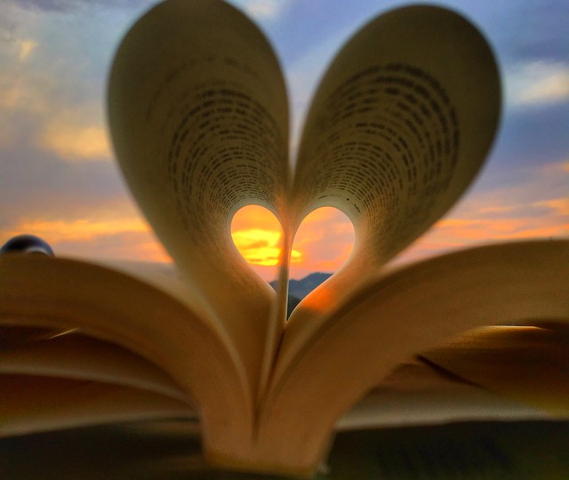 当智慧遇见夕阳：探索老年人的智慧如何照亮未来之路，让每一份经验都成为社会进步的动力，看老一辈如何用智慧谱写新时代篇章