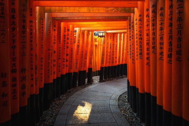 昆明到日本旅游价格大揭秘：从机票到行程，超值优惠等你来抢！