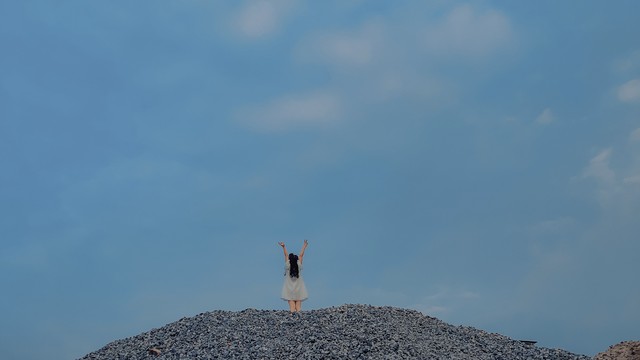 云南旅游哪里可以看海鸥？2024年最新观鸥攻略，带你走进海鸥的浪漫世界！