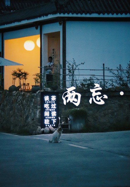 当你走进蛋糕店，八寸蛋糕是多少厘米？这个问题竟然藏着生活的甜蜜秘密